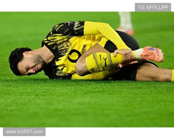 [国际足球]多特蒙德赢球迎强援.